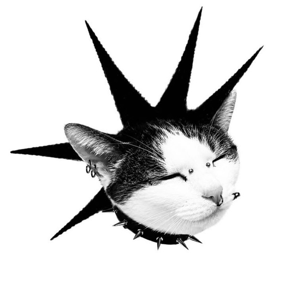 catpunks